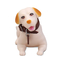 Non Phthalate PVC ABS Dog Door Stopper Decorative Animal Doorstop Door Wedge