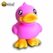 B.Duck PVC Piggy Bank Duck Toy Sturdy and Durable Saving Bank for Gift