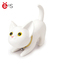 Ens Kitty Cat Box Piggy Bank Non Phthalate Pvc Material OEM