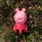 PVC Animal Pig Coin Bank , 6.2 inch ×4 inch Plastic Piggy Bank for Saving Money